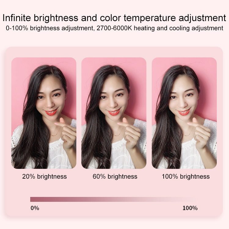 WK WT-P11 Portable Filling Light Live Holder, WT-P11 (Black), WT-P11 (Pink), WT-P11 (White)