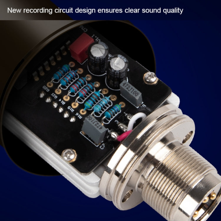 Alctron CM6 Lite Large Diaphragm Condenser Microphone Recording Computer Desktop Microphone