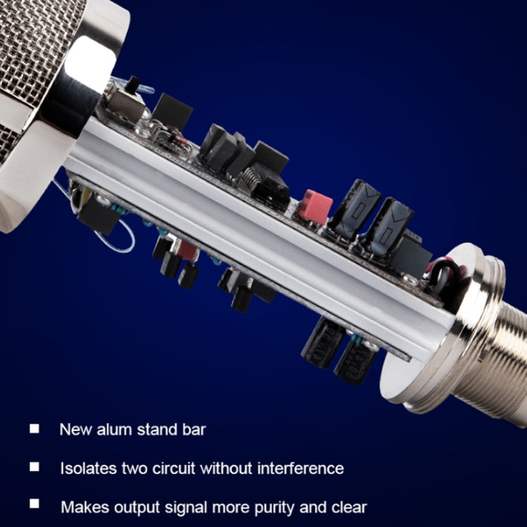 Alctron CM6 Lite Large Diaphragm Condenser Microphone Recording Computer Desktop Microphone