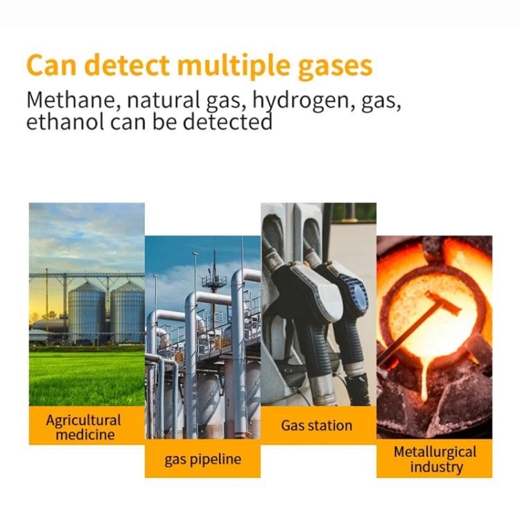 Combustible Gas Detector Explosion-Proof Natural Gas Gas Methane Gas Alarms, SW-733B