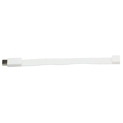 2GB Silicon Bracelets USB 2.0 Flash Disk, 2GB