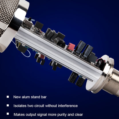 Alctron CM6 Lite Large Diaphragm Condenser Microphone Recording Computer Desktop Microphone
