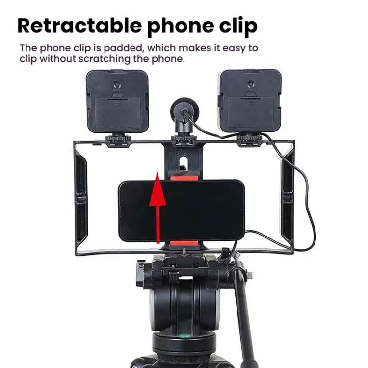 Smartphone Video Rig Kit with LED Fill Light & Microphone All-in-One Mobile Live Streaming, AY-49X
