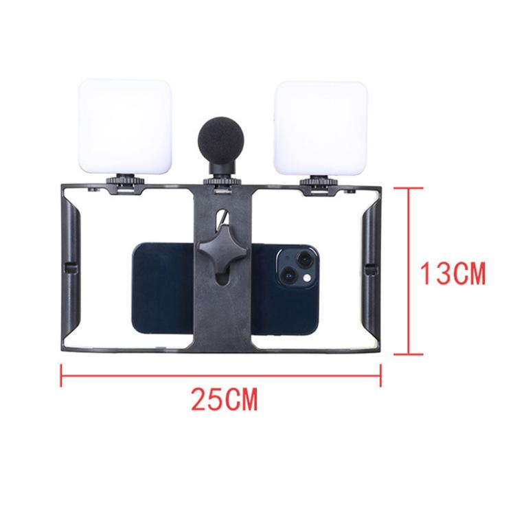 Smartphone Video Rig Kit with LED Fill Light & Microphone All-in-One Mobile Live Streaming, AY-49X